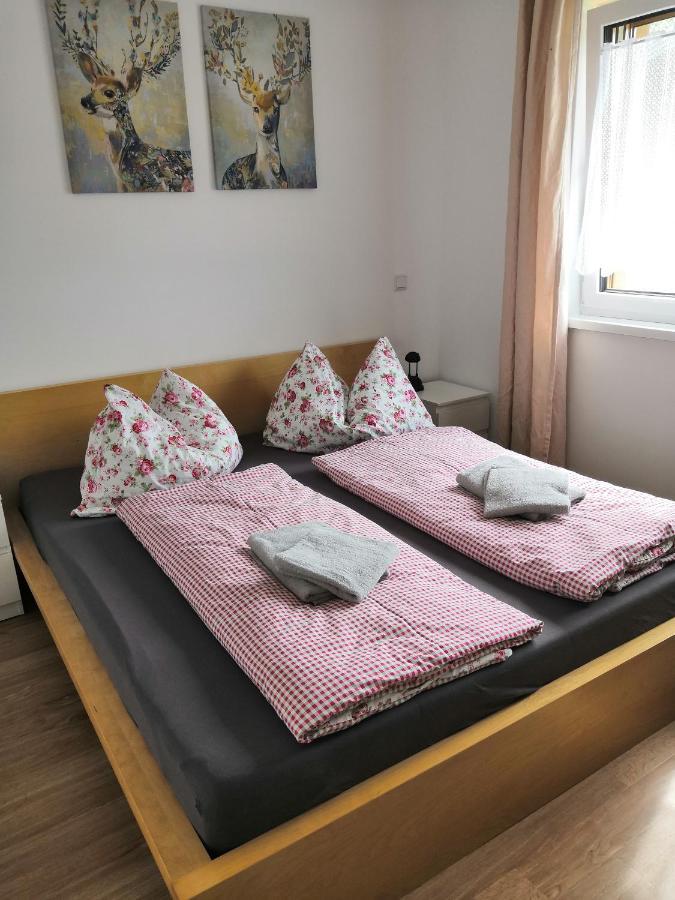 Appartment Dutzler Sankt Martin am Tennengebirge Kültér fotó