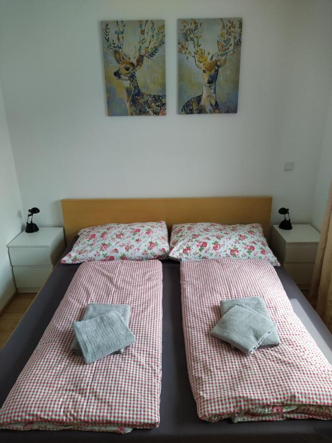 Appartment Dutzler Sankt Martin am Tennengebirge Kültér fotó